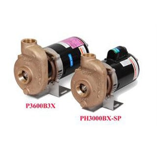 225500404 P1200BXT-SP Seawtr Pump 1200 GPH 115/230V 50/60 Hz Dometic